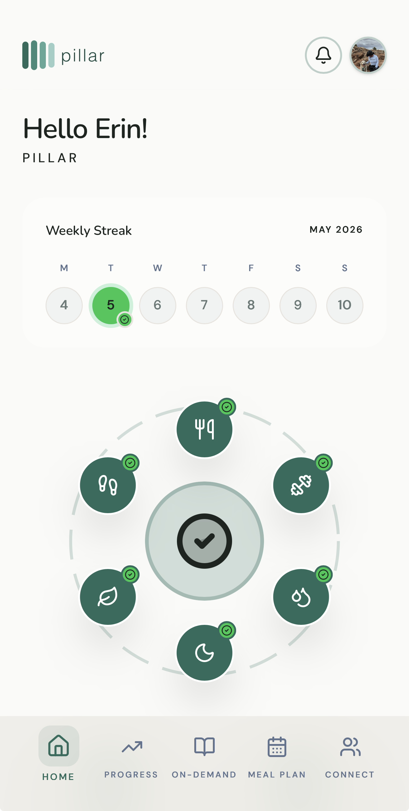 Pillar client app — daily check-in showing the eight-pillar wheel